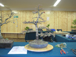 Descriptive bonsai image