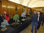 Ayr winter image show, Jan 2014