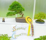 2012 Scottish Bonsai National Exhibition Show