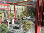 National Bonsai Collection of Scotland