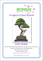 Charity bonsai exhibition