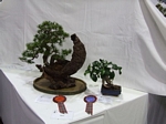 Gardening Scotland SBA Bonsai Tree Winners 2012