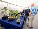 National Exhibition Kibble Palace Glasgow 2011