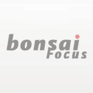 Bonsai Focus Bonsai Blogs and Advice